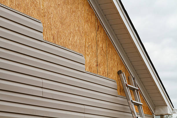 Professional Vinyl Siding technician working in Sanford, FL